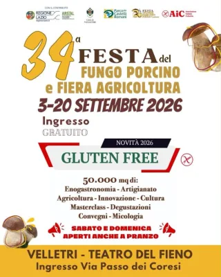 Volantino della Festa del Fungo Porcino