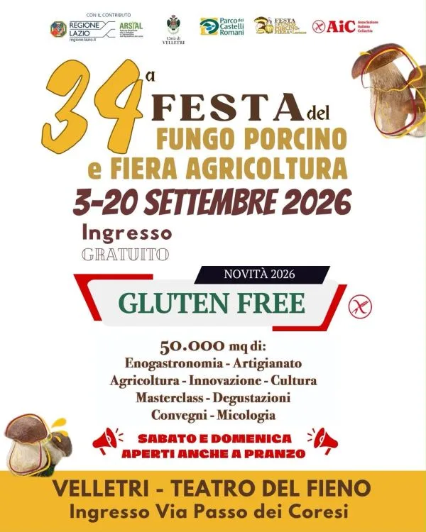 Volantino della Festa del Fungo Porcino